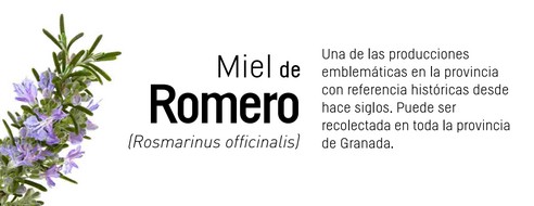 miel-romero--