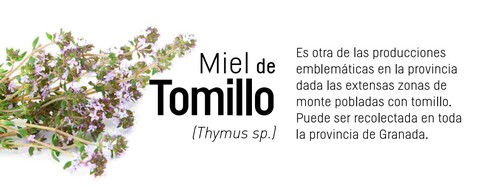 miel-tomillo--